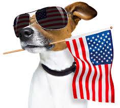 dog flag sunglasses